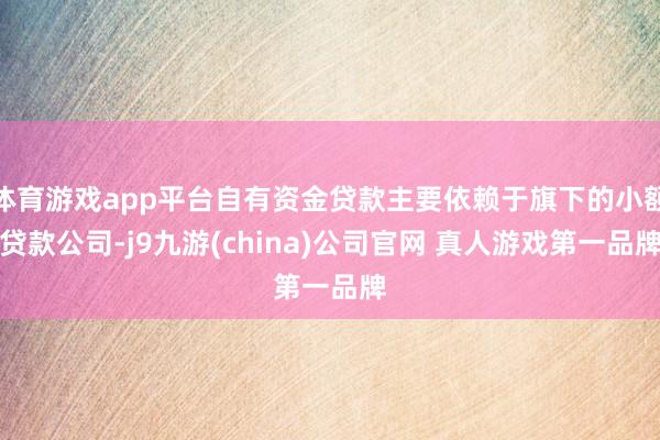 体育游戏app平台自有资金贷款主要依赖于旗下的小额贷款公司-j9九游(china)公司官网 真人游戏第一品牌