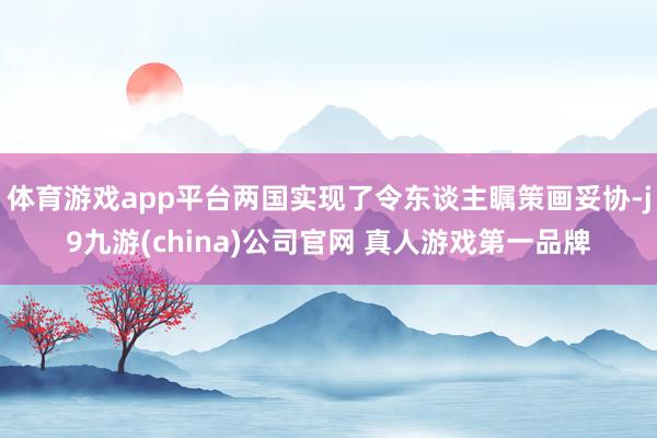 体育游戏app平台两国实现了令东谈主瞩策画妥协-j9九游(china)公司官网 真人游戏第一品牌