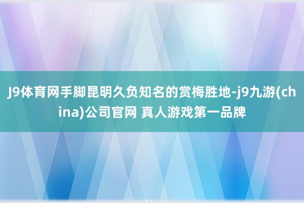 J9体育网手脚昆明久负知名的赏梅胜地-j9九游(china)公司官网 真人游戏第一品牌