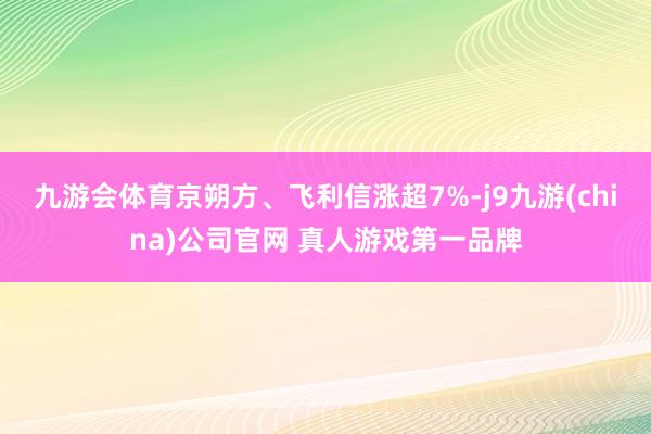 九游会体育京朔方、飞利信涨超7%-j9九游(china)公司官网 真人游戏第一品牌