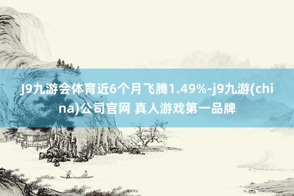 J9九游会体育近6个月飞腾1.49%-j9九游(china)公司官网 真人游戏第一品牌