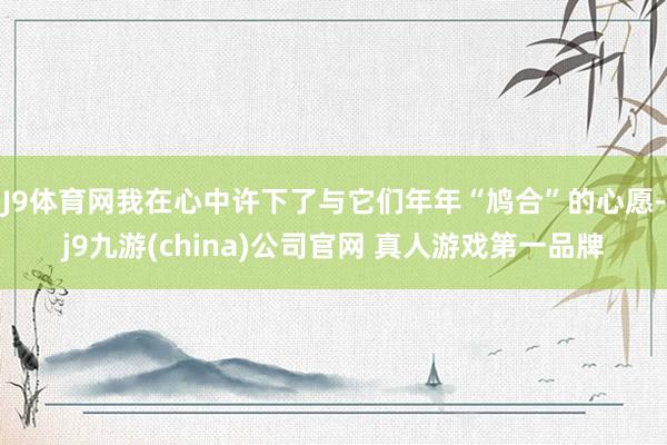 J9体育网我在心中许下了与它们年年“鸠合”的心愿-j9九游(china)公司官网 真人游戏第一品牌