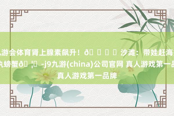 九游会体育肾上腺素飙升！🏝️沙滩：带娃赶海挖沙执螃蟹🦀-j9九游(china)公司官网 真人游戏第一品牌